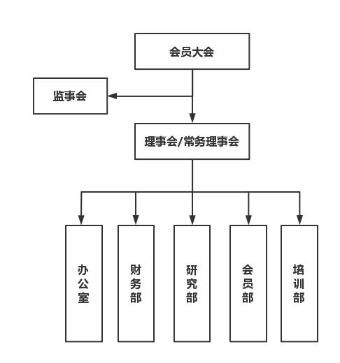 17113325956594065.jpg